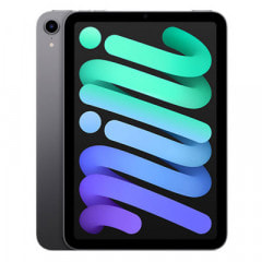 【第6世代】iPad mini6 Wi-Fi+Cellular 256GB スペースグレイ MK8F3J/A A2568【国内版SIMフリー】