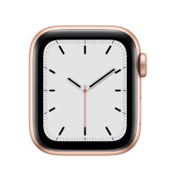 【バンド無し】Apple Watch SE 40mm GPSモデル MKQA3J/A A2351【ゴールドアルミニウムケース】