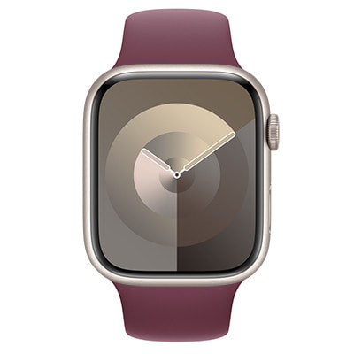 Apple Watch Series9 45mm GPSモデル MR9P3J/A+MT403FE/A A2980 Apple Watch Series9 45mm GPSモデル MR9P3J/A+MT403FE/A A2980