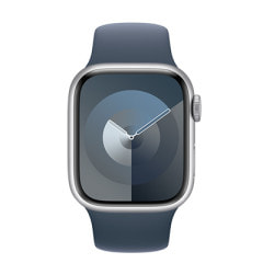 Apple Watch Series9 45mm GPSモデル MR9Q3J/A+MTJA3FE/A A2980 