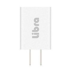 10W USB充電アダプタ LX050200　