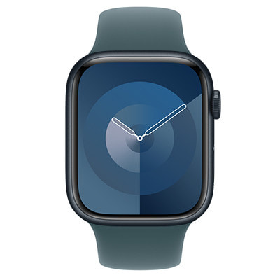 Apple Watch Series9 45mm GPSモデル MR9Q3J/A+MXLQ3FE/A A2980 
