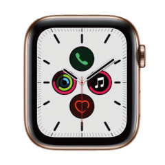 【バンド無し】Apple Watch Series5 44mm GPS+Cellularモデル MWWH2J/A A2157【ゴールドステンレススチールケース】