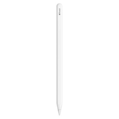 未使用に近い　2024年3月購入品　Apple Pencil 第2世代 未使用に近い 2025年3月購入品 付属品有り Apple Pencil Pro アップル