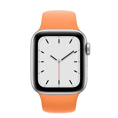 Apple Watch SE 40mm GPSモデル MKQ93J/A+MKUF3FE/A A2351【シルバー 