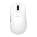 ZYGEN NP-01S Wireless White