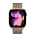 Apple Watch Series11 42mm GPSモデル MEW24J/A+MGJ04FE/A A3331【ローズゴールドアルミニウムケース/ゴールドミラネーゼループ】